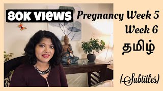 Pregnancy Week 5 Tamil  Week 6 Pregnancy Symptoms In Tamil  Early symptoms of pregnancy Tamil [upl. by Albertina]