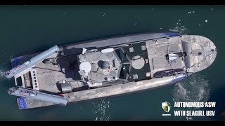 SeaGull Demonstrates Autonomous ASW Capabilities [upl. by Enelyaj]