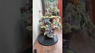 A DIY Succulent Arrangement With Recycled Plastic Planter🪴 succulents suculentasdiyrecycle [upl. by Aivatnuahs]