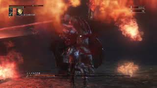 Bloodborne  I Love Chalice Dungeons Various Boss Clears [upl. by Marleen]