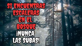 SI ENCUENTRAS ESCALERAS EN EL BOSQUE NUNCA LAS SUBAS  RELATO DE TERROR [upl. by Nnylrac128]