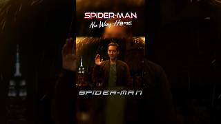 Tobey Maguires SpiderMan Audience Reactions No Way Home [upl. by Corbet]