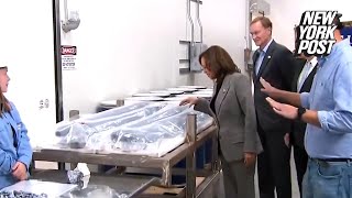 Kamala Harris tries to touch razorsharp silicon during tour of semiconductor factory [upl. by Liba]