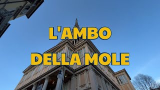 Lambo della mole [upl. by Rainah]