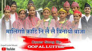 MALINGO KATI NI LAILAI COVER SONG BY GOPAL LUITEL NEPALI LOK GEET [upl. by Suivatnad]