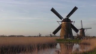 HOLLAND Kinderdijk  windmills and nature [upl. by Ativla443]