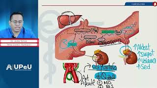 Farmacología II  Clase 2  Fármacos antihipertensivos [upl. by Geerts62]