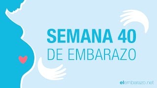 Semana 40 de embarazo  40 semanas de embarazo  El embarazo semana a semana [upl. by Denby534]