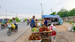 Best Street Food Tour in Kampong Speu amp Kandal Cambodia Factory Workers at Countryside Market [upl. by Dunaville516]