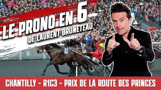 Pronostic Quinté  Chantilly  Prix de la Route des Princes  29 octobre 2024 [upl. by Enilrac]