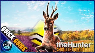 Roe deer Guide for Hirschfelden  theHunter Call of the Wild [upl. by Corvin]