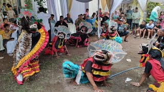 TARI KUCINGAN SENI JARANAN TURONGGO BUDOYO SAKTI LIVE KESILIR [upl. by Suiraj]