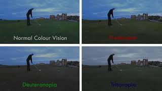 Protanopia vs Deuteranopia vs Tritanopia On St Andrews Golf Links [upl. by Felice]