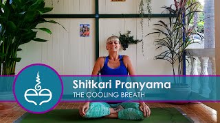 Shitkari Pranayama The Cooling Breath [upl. by Robison]