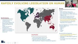 BHRA Global QampA Webinar  Session 2 [upl. by Shank]