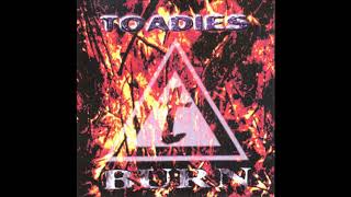 Toadies  Burn 1996 FULL BOOTLEG [upl. by Nnylarac]