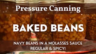 Homemade Baked Beans  Step by Step How to Pressure Can  Canning Recipe  Baked Beans From Scratch [upl. by Laveen616]