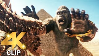 Godzilla Vs Kong  GODZILLA X KONG THE NEW EMPIRE 2024 Movie CLIP 4K [upl. by Ludeman]