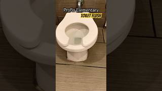 Proflo Elementary Toilet Flush for the Kiddos  Shops at Santa Anita Arcadia Mall California USA [upl. by Domella]