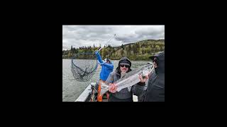 Spring Chinook fishing on the Columbia River 2024 [upl. by Annerb]