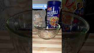 Muesli fruit nut healthy breakfast recipes 👍👍 [upl. by Shiller]