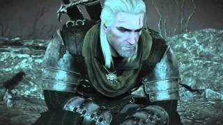 The Witcher 3 Wild hunt Hearts of stone  Gaunter ODim boss fight solving the riddle [upl. by Eatnad349]