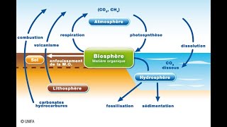 Les cycles biogéochimiques  cycle du carbone et cycle du dioxygène [upl. by Yelha691]