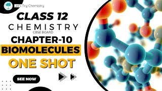 class 12th chemistry chapter 10 biomolecules One shot revision crash course video [upl. by Esta634]