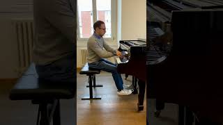 Michele Torsello plays SchumannLiszt Widmung [upl. by Katz]