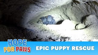 Epic puppy rescue  18 feet into the earth Dangerous Hope For Paws rescue puppy [upl. by Arhas]