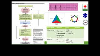 Identificación y manejo de las arritmias en urgencias pediátricas PALS 2020 [upl. by Janie162]