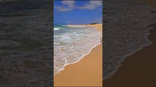 Ocean ⛱️ 🌊 Fuerteventura 🇪🇸 [upl. by Irrek98]