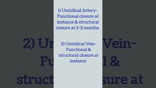 Fetal Circulation Structure Closure Time shorts mednotes nursing mcq nclex studymotivation [upl. by Esoj]