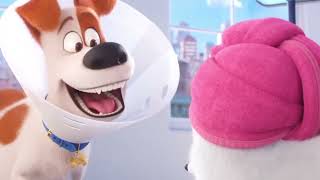 Secret Life of Pets 2  Max Goes To The Vet Reverse [upl. by Lashoh]