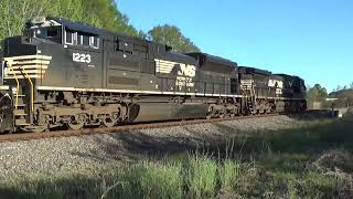 NS 296 Intermodal Dbl Stack Export Cubesbaretables by Spartanburg East 4624 AC44C6M and SD70ACe [upl. by Eatnuahs]