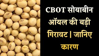 CBOT सोयाबीन ऑयल की बड़ी गिरावट  जानिए कारण [upl. by Sone984]