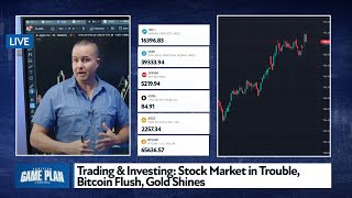 Trading amp Investing Stock Market in Trouble Bitcoin Flush Gold Shines giveaway gold [upl. by Kabob]