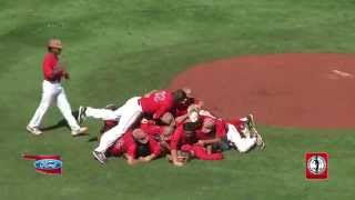 OSSAA 2015 Fall Baseball State Championship Game Dog Piles [upl. by Natye]