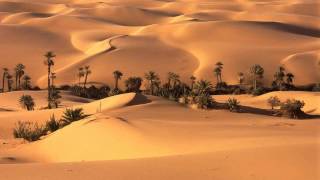 Beautiful Desert  Beyond The Horizon  Original Music [upl. by Bettina]