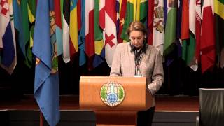 Algeria  HE Mrs Nassima Baghli Permanent Representative to the OPCW [upl. by Ennairda]