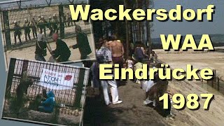 Ereignisse am Bauzaun der WAA bei Wackersdorf 1987 [upl. by Ariik]