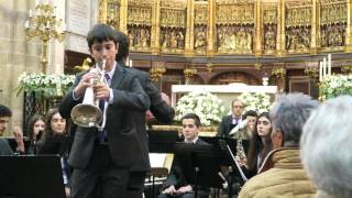 Concierto de Aranjuez Flugelhorn Solo [upl. by Omero]