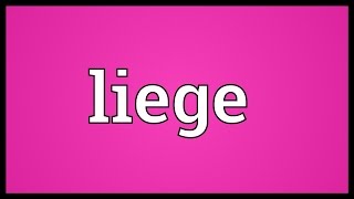 Liege Meaning [upl. by Einahpetse359]