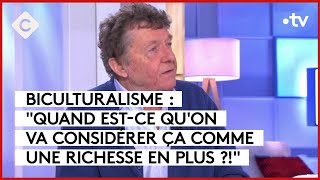 Les Français en demande d’autorité   Jean Viard  C à vous  01022024 [upl. by Lebatsirc810]