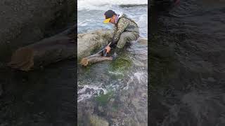 Janitor fish wow fishing fishingtechniques fishingtips [upl. by Ynnus]