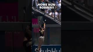 IMPRESSIVE home run robbery [upl. by Penrod]