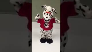 Gemmy animated University Mascots CollectionFlorida State [upl. by Wait]