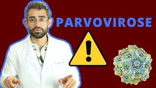 Parvovirose  Dica Veterinária 14 [upl. by Ydnarb]