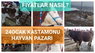 KASTAMONU HAYVAN PAZARI  PAZARLIKLAR FİYATLAR  YucelGungor71AytekinTanriverdi [upl. by Eydnarb]