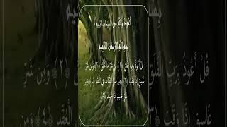 Sourate AlFalaq  Idriss Abkar 113 سورة الفلق  إدريس أبكر [upl. by Towers]